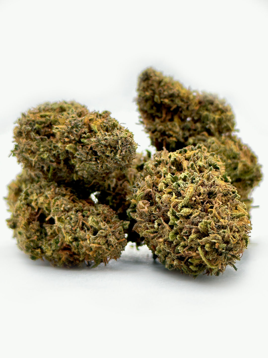 PM Bundle CBD