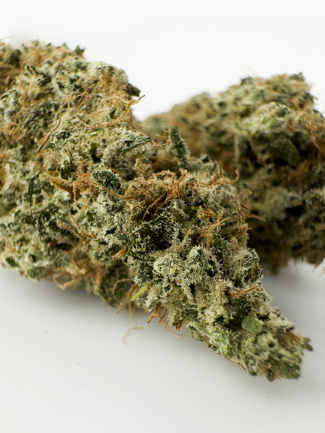 cannabis light hydroponic apple close