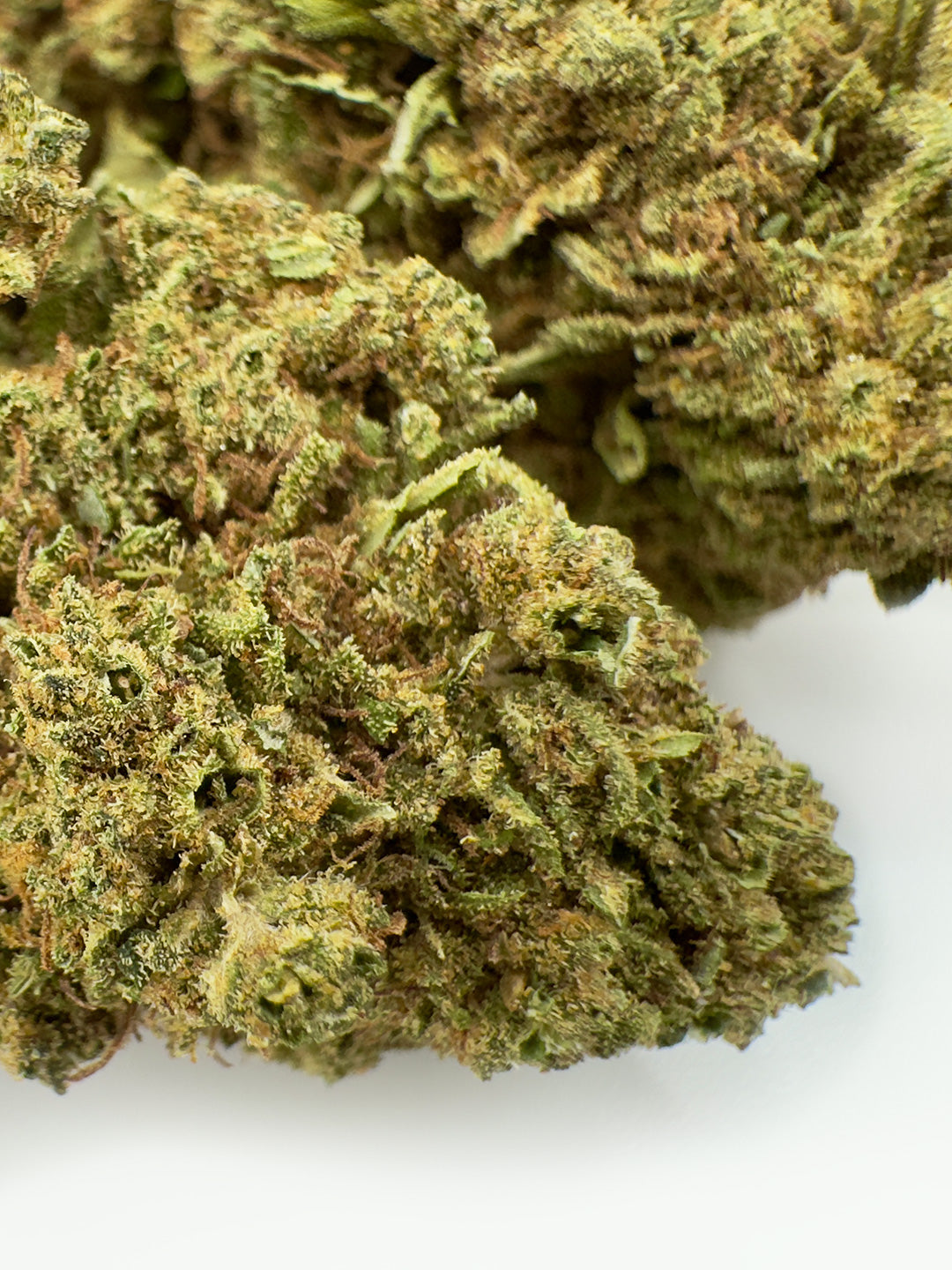 milkshake cannabis light close