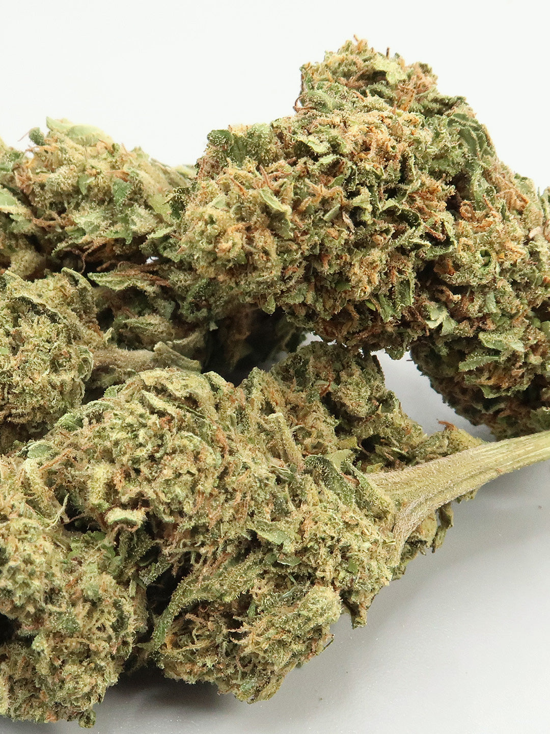 "OG Kush"