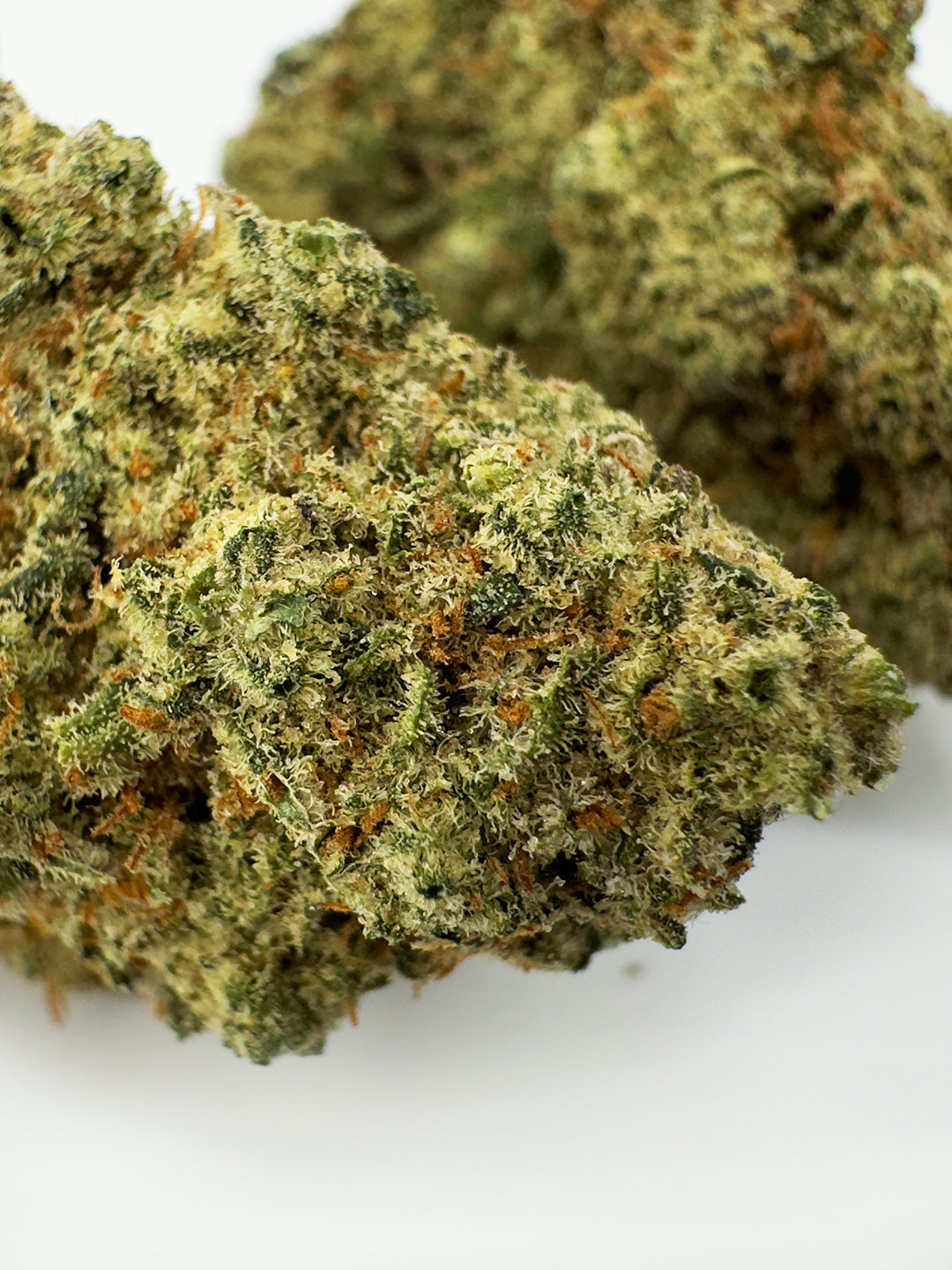 cannabis light close