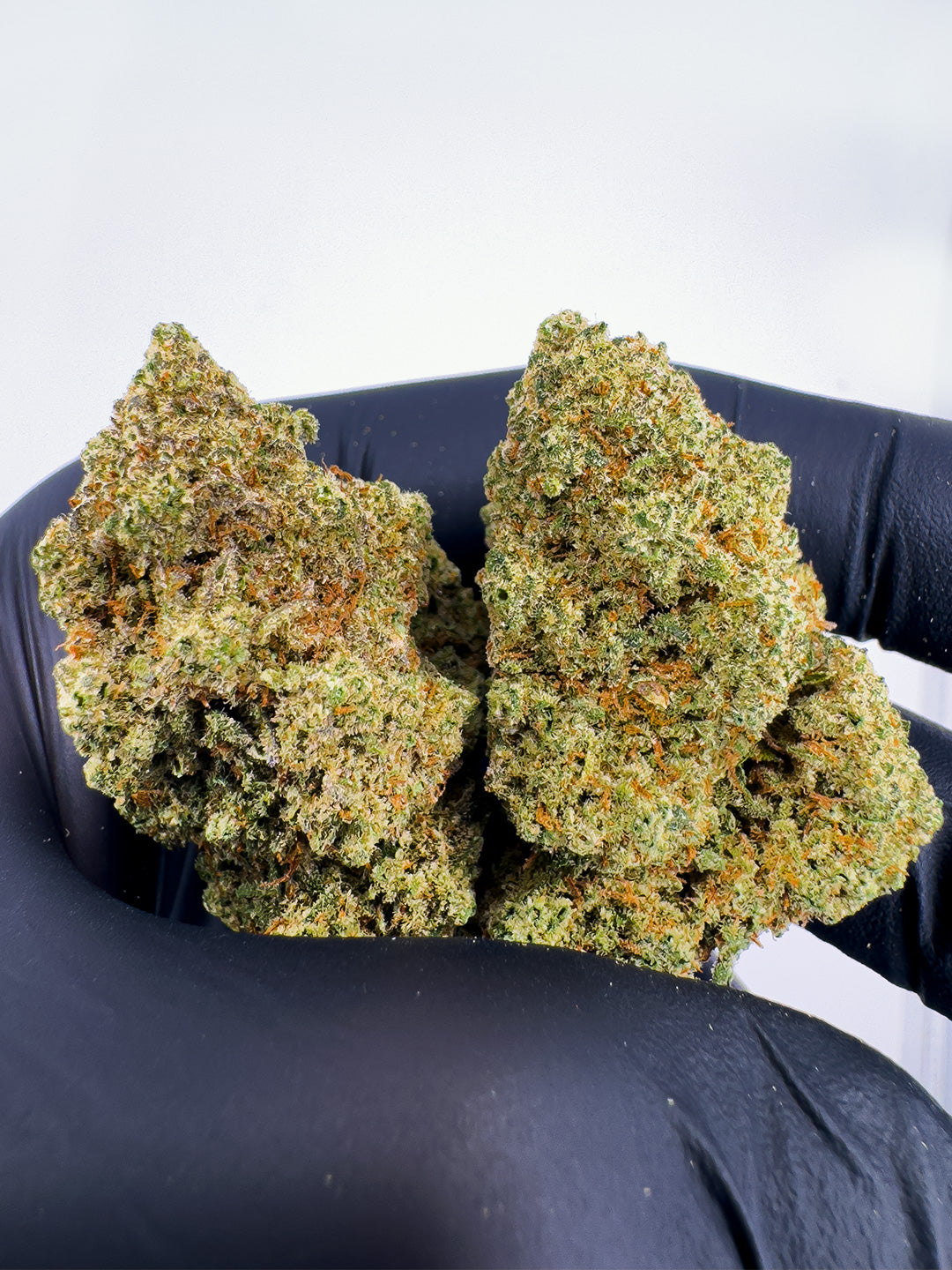 cannabis light closer up
