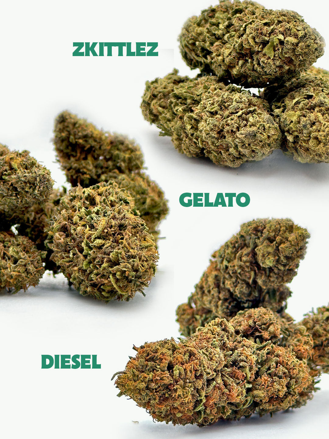 PM Bundle CBD