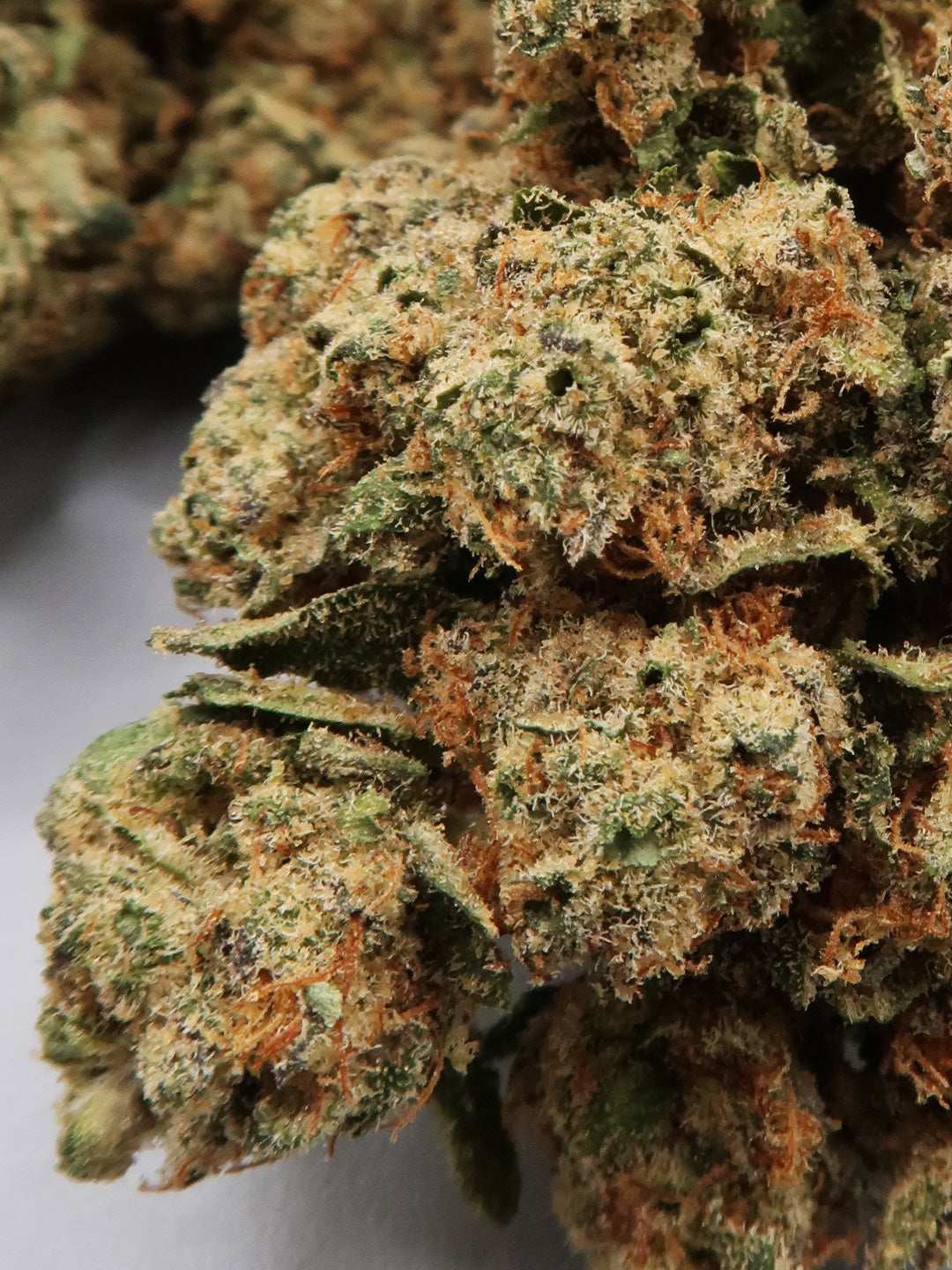 "Tropical Frostbite" 13% CBD | 3.5g LIMITED EDITION