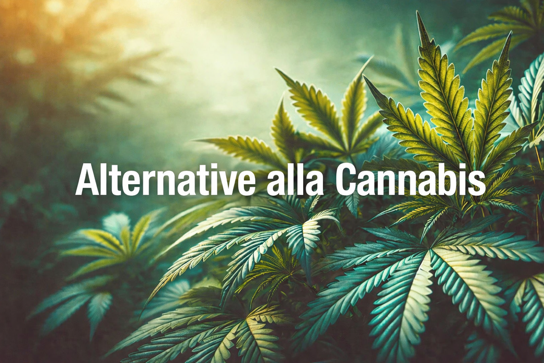 Cosa posso fumare invece della cannabis