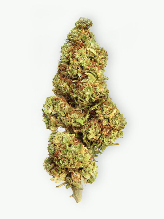 Immagine principale dei fiori di CBD AK-47