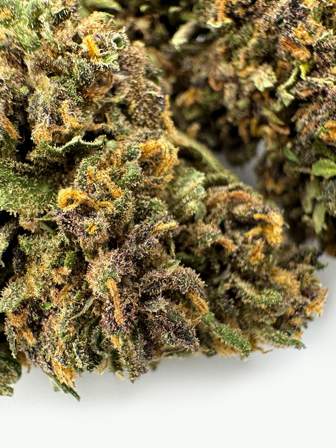 "AK-47"