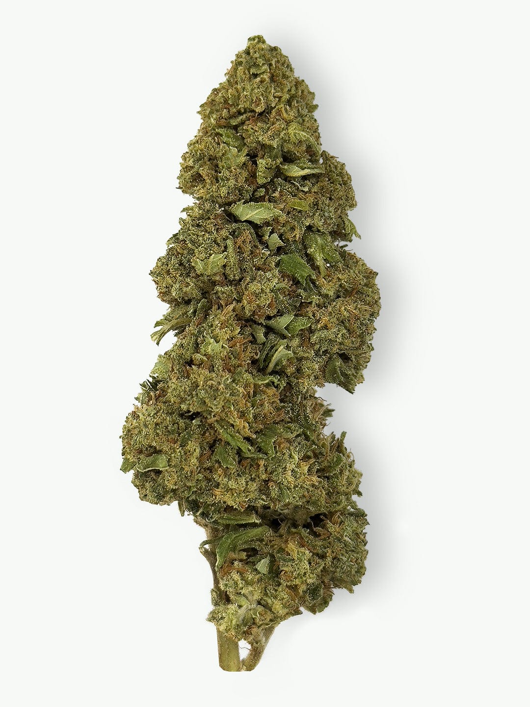 alpine dream CBD flowers