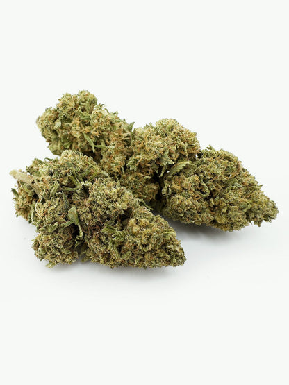 alpine dream CBVD flower close up