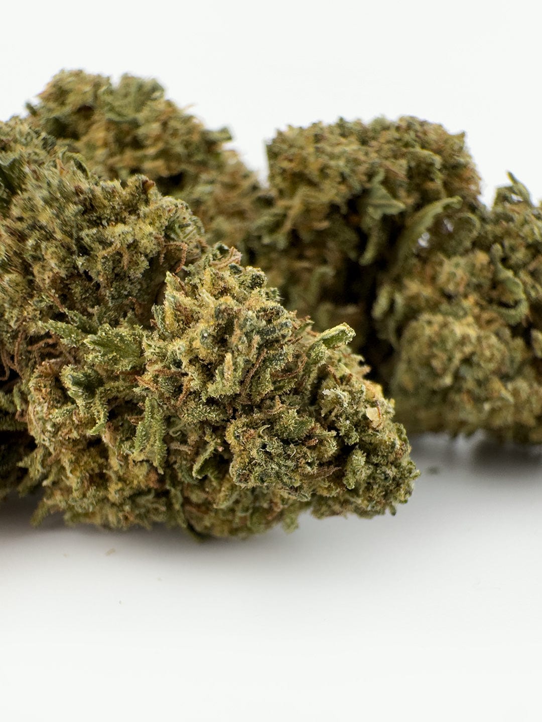 close up of alpine dream CBD flowers