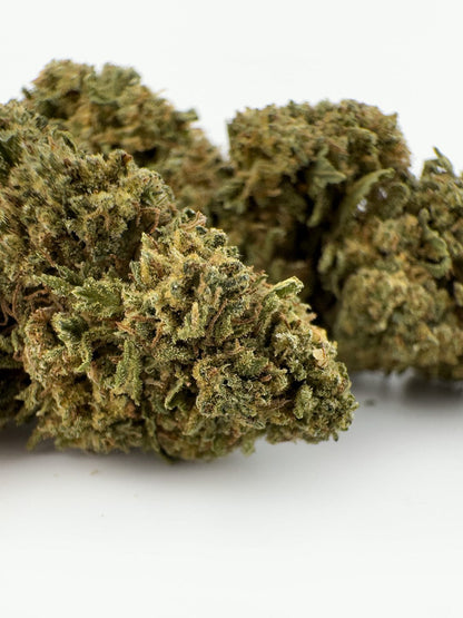 close up of alpine dream CBD flowers