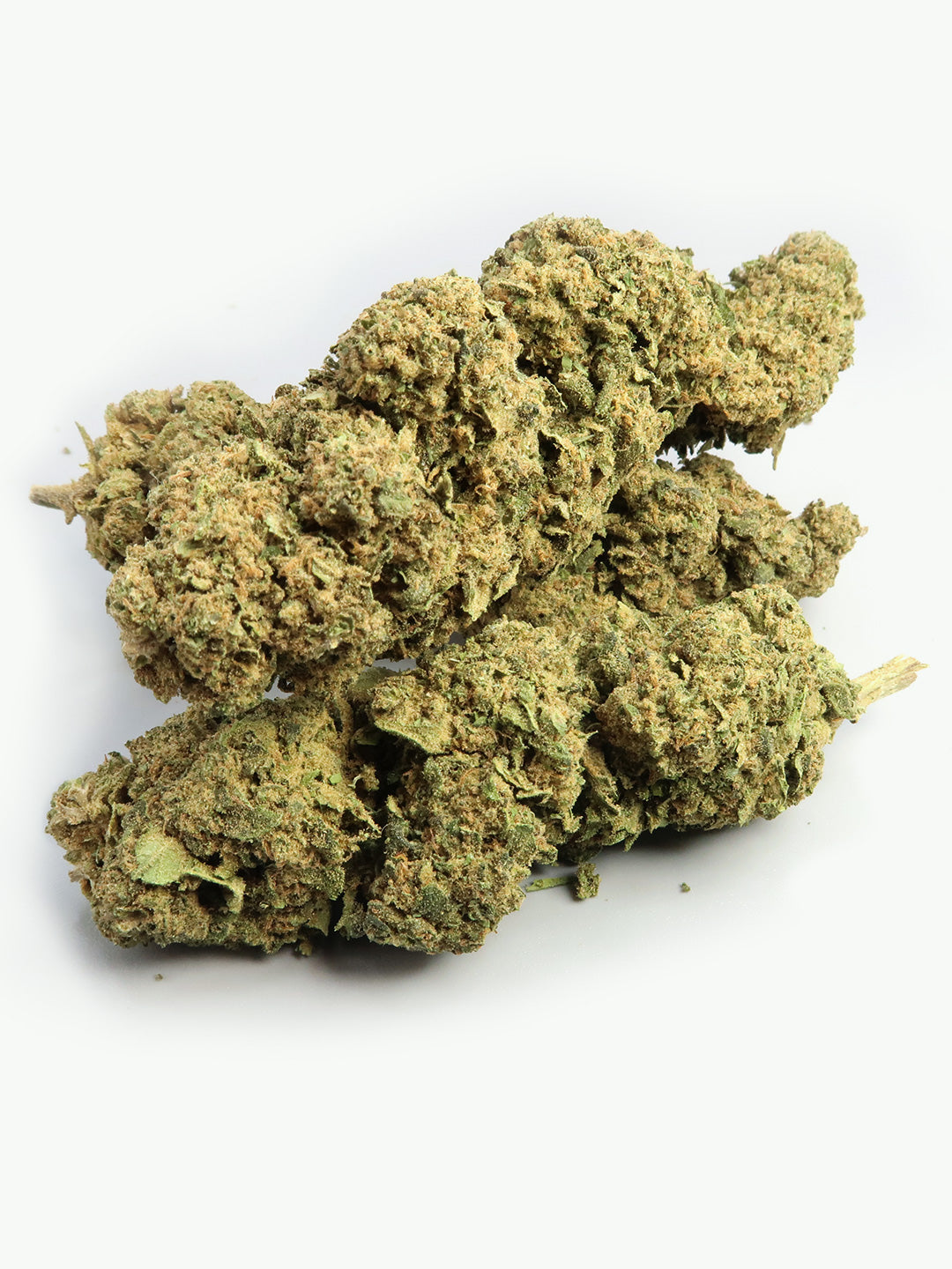 Cluster of Amnesia
Fiori di CBD