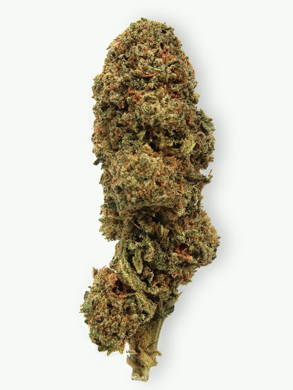 "Biscotti" 13% CBD | 3.5g LIMITED EDITION