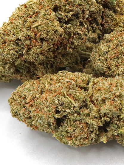 "Biscotti" 13% CBD | 3.5g LIMITED EDITION