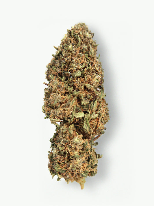 Immagine principale dei fiori di CBD Bubblegum