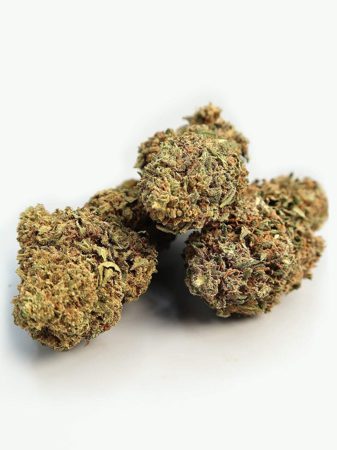 Grappolo di fiori di CBD Bubblegum