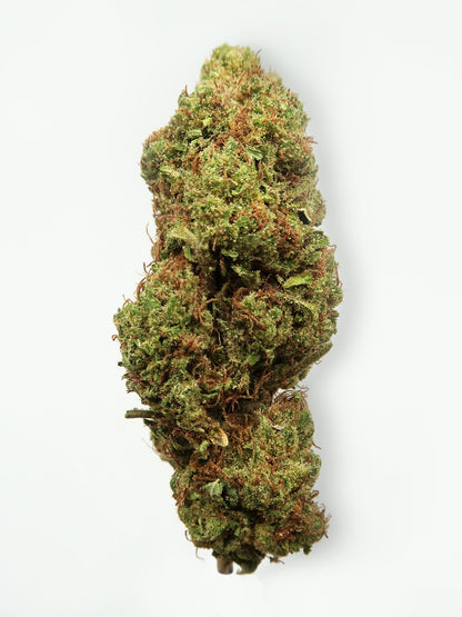 Immagine principale dei fiori di CBD Cherry Diesel