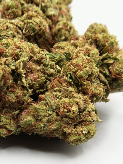 Primo piano di fiori di CBD Cherry Diesel