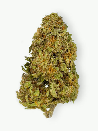 Cookies and Cream canapa legale