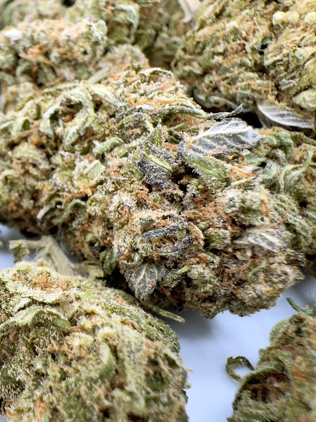 crunchy nut cbd flowers close up