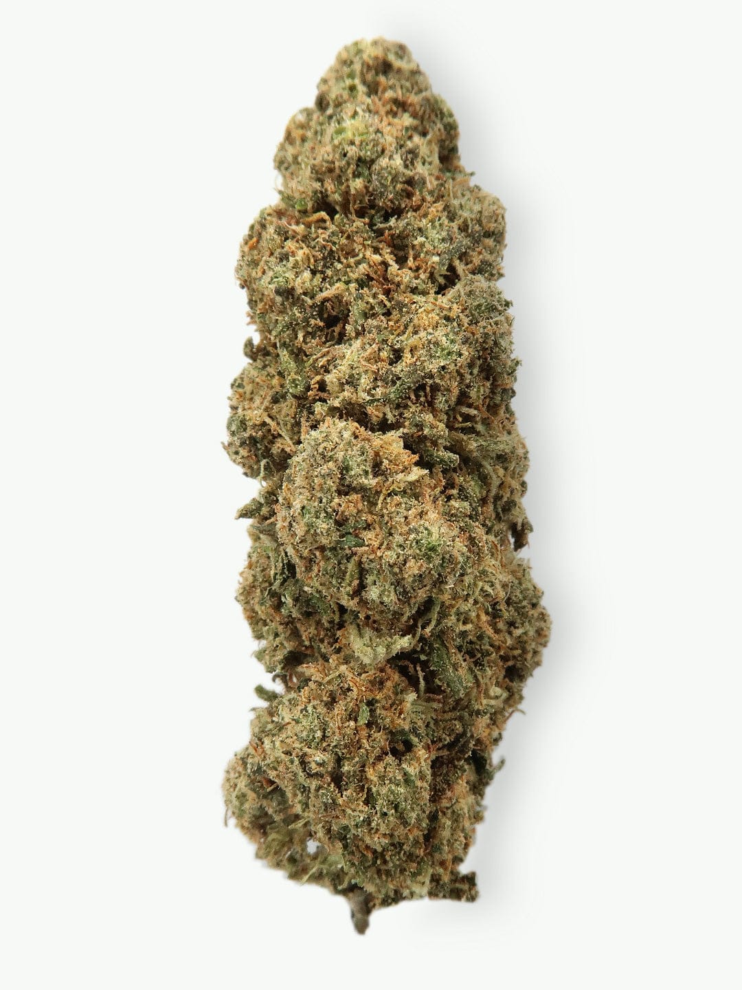 "Hydroponic Apple" 17.8% CBD | 3.5g LIMITED EDITION