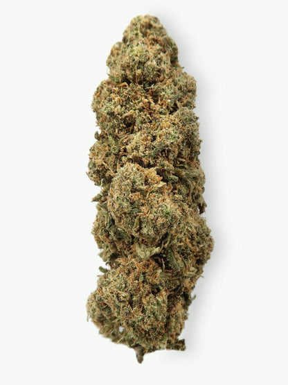 "Hydroponic Apple" 17.8% CBD | 3.5g LIMITED EDITION