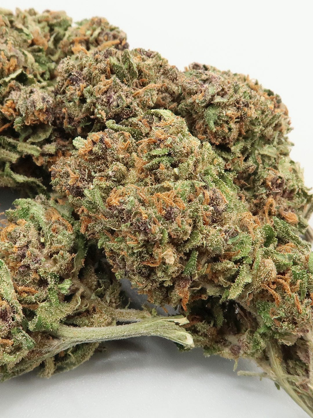 "Hydroponic Apple" 17.8% CBD | 3.5g LIMITED EDITION