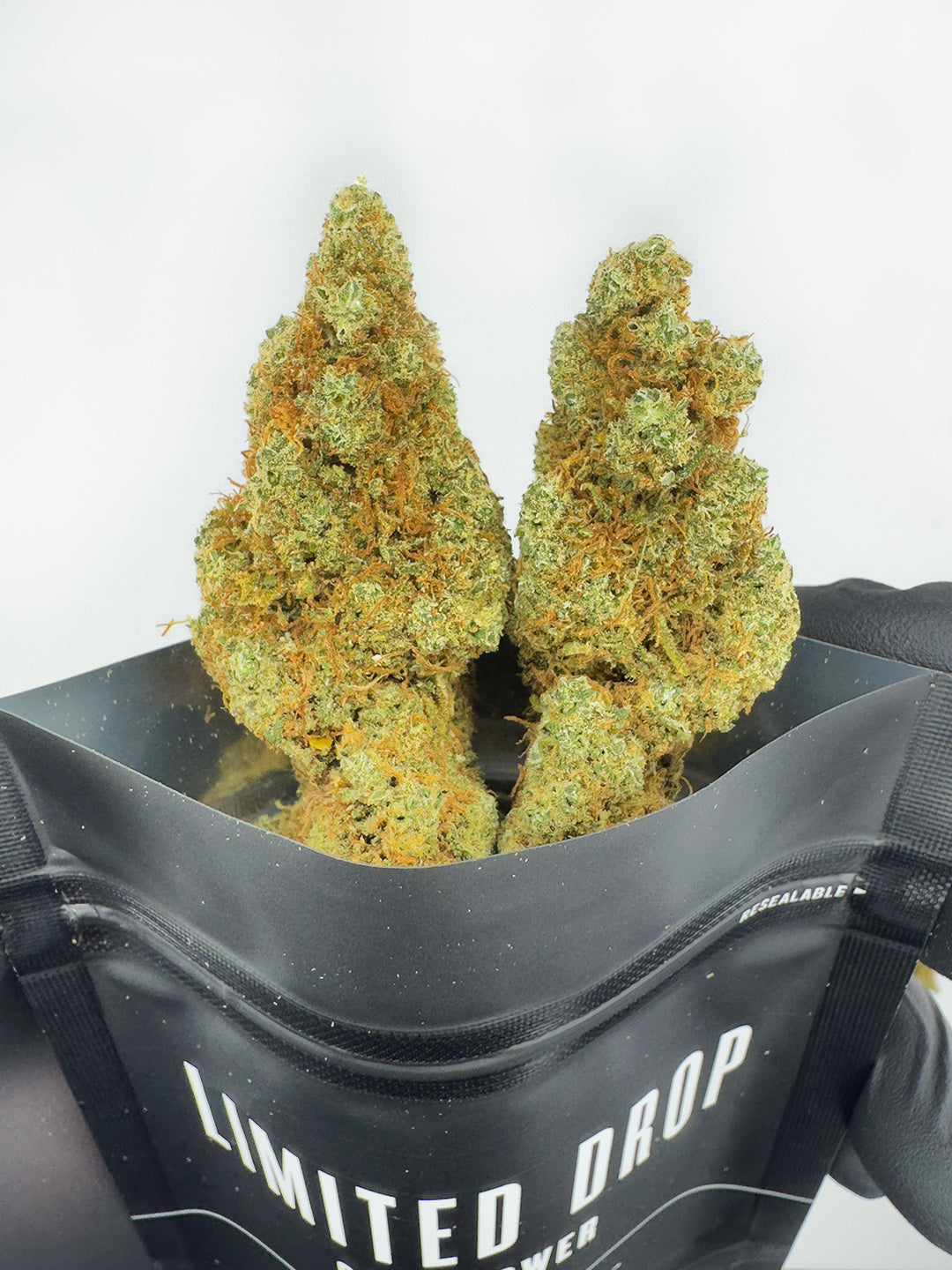 Hydroponic Mandarin canapa legale