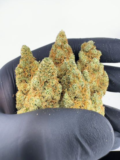 Hydroponic Mandarin cannabis light close up