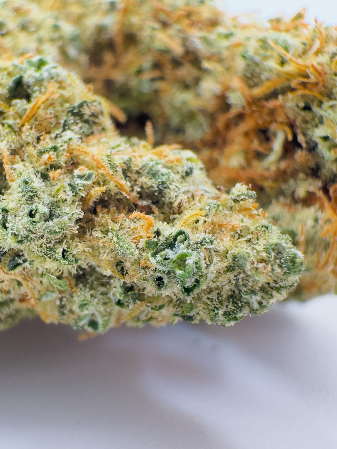 Hydroponic Mandarin cannabis light close