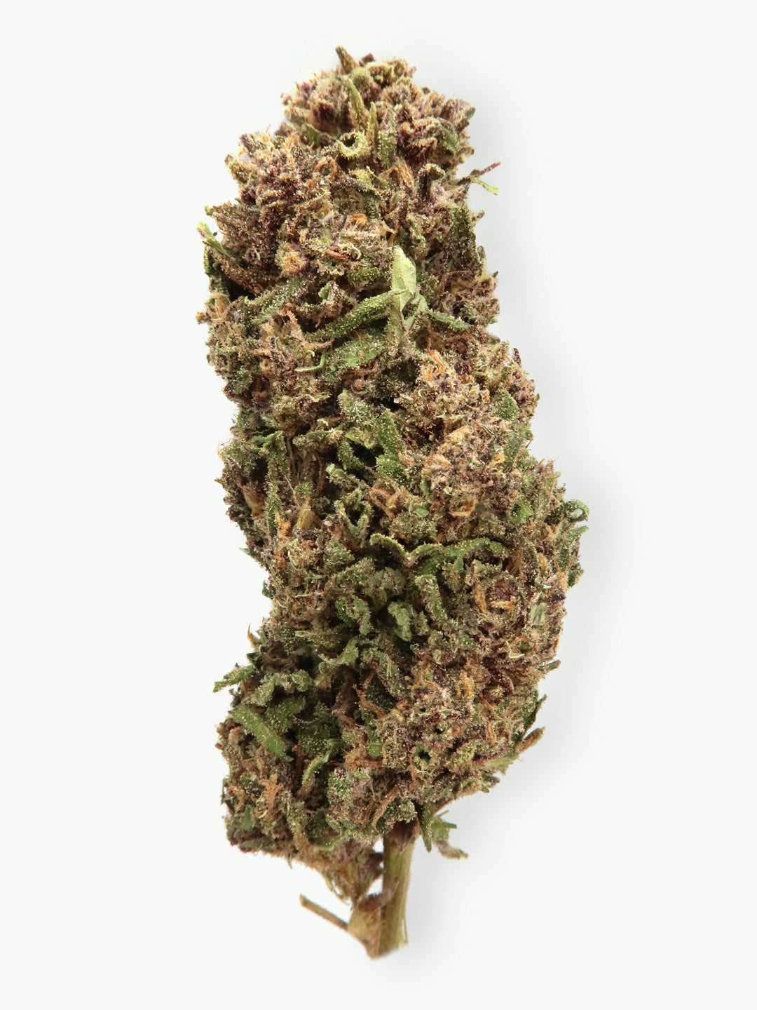 Immagine principale dei fiori di CBD Legendary OG