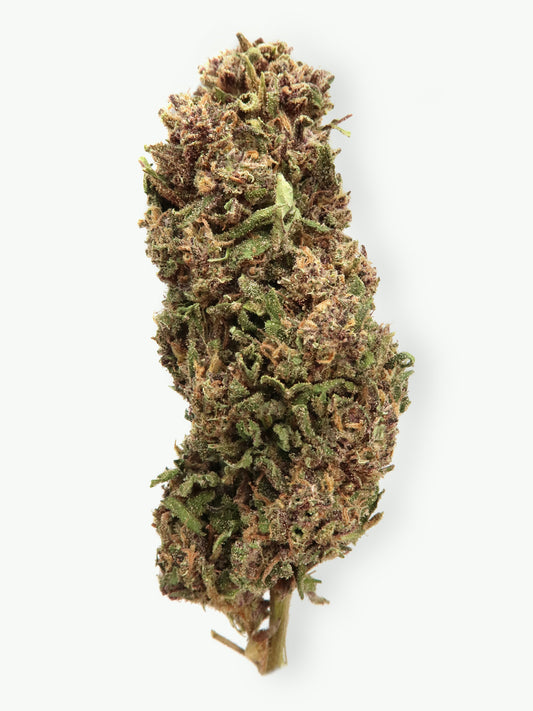 Immagine principale dei fiori di CBD Legendary OG