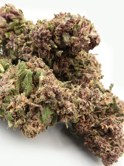 Primo piano dei fiori di Legendary OG CBD