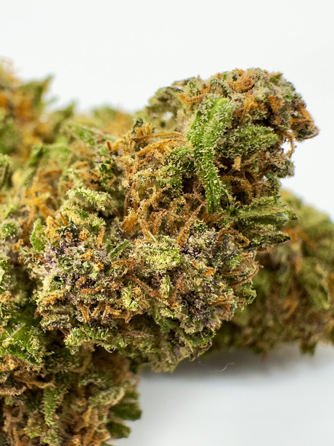 Legendary OG