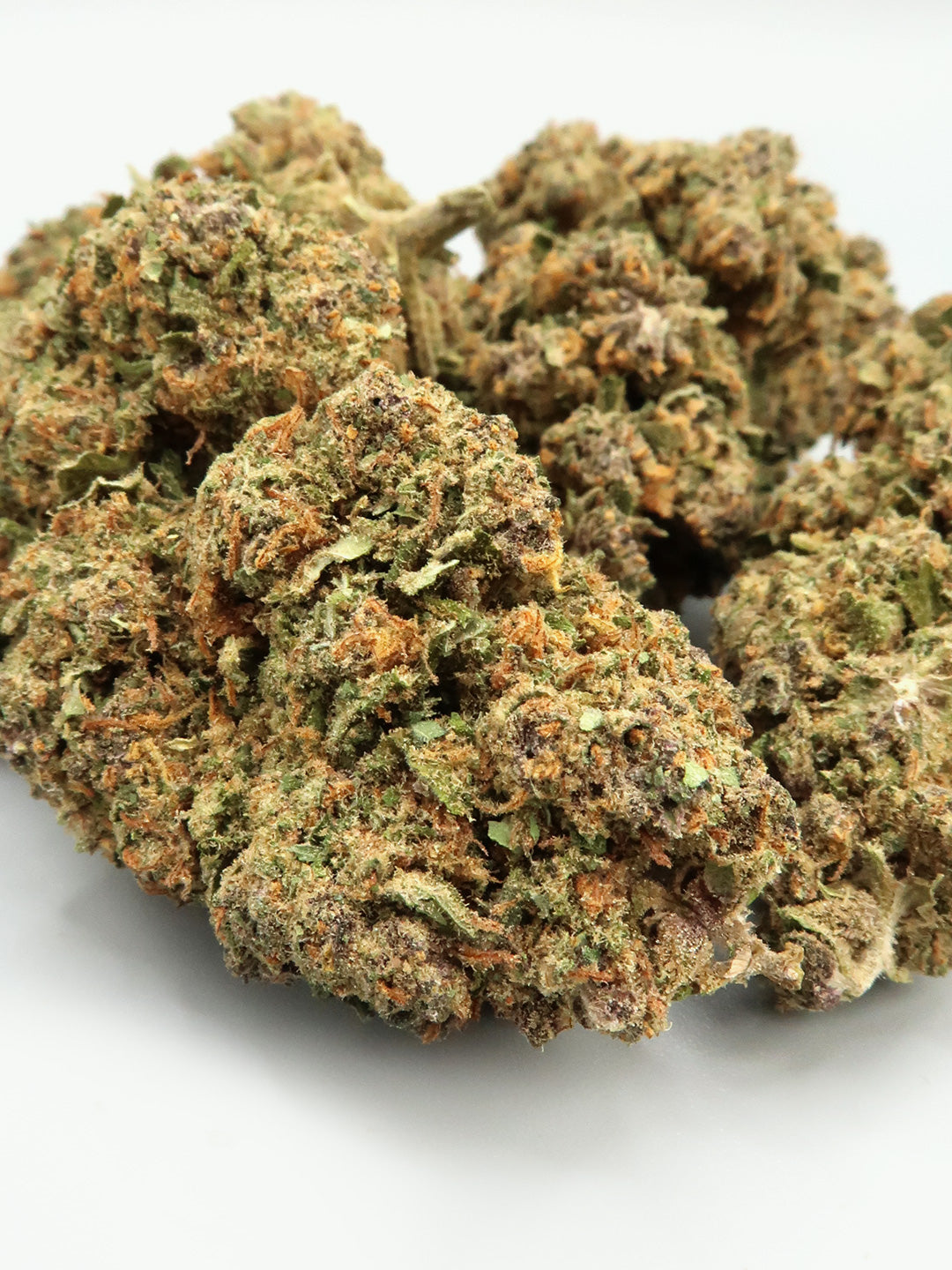 Primo piano dei fiori di Lemonberry Haze CBD
