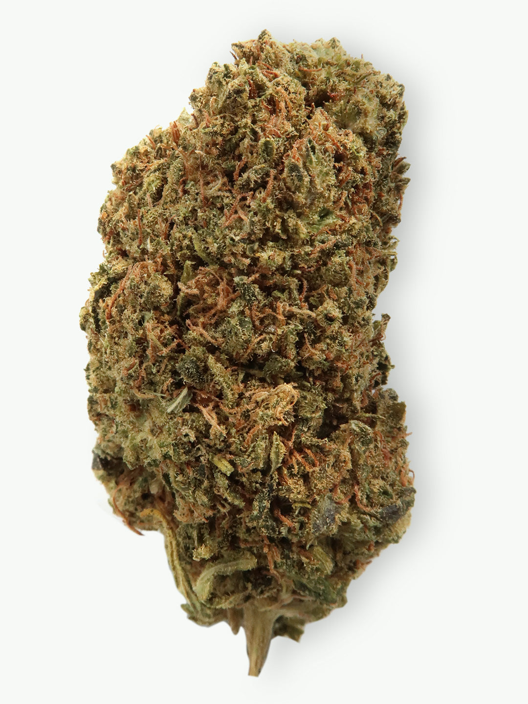 Lemon Skunk