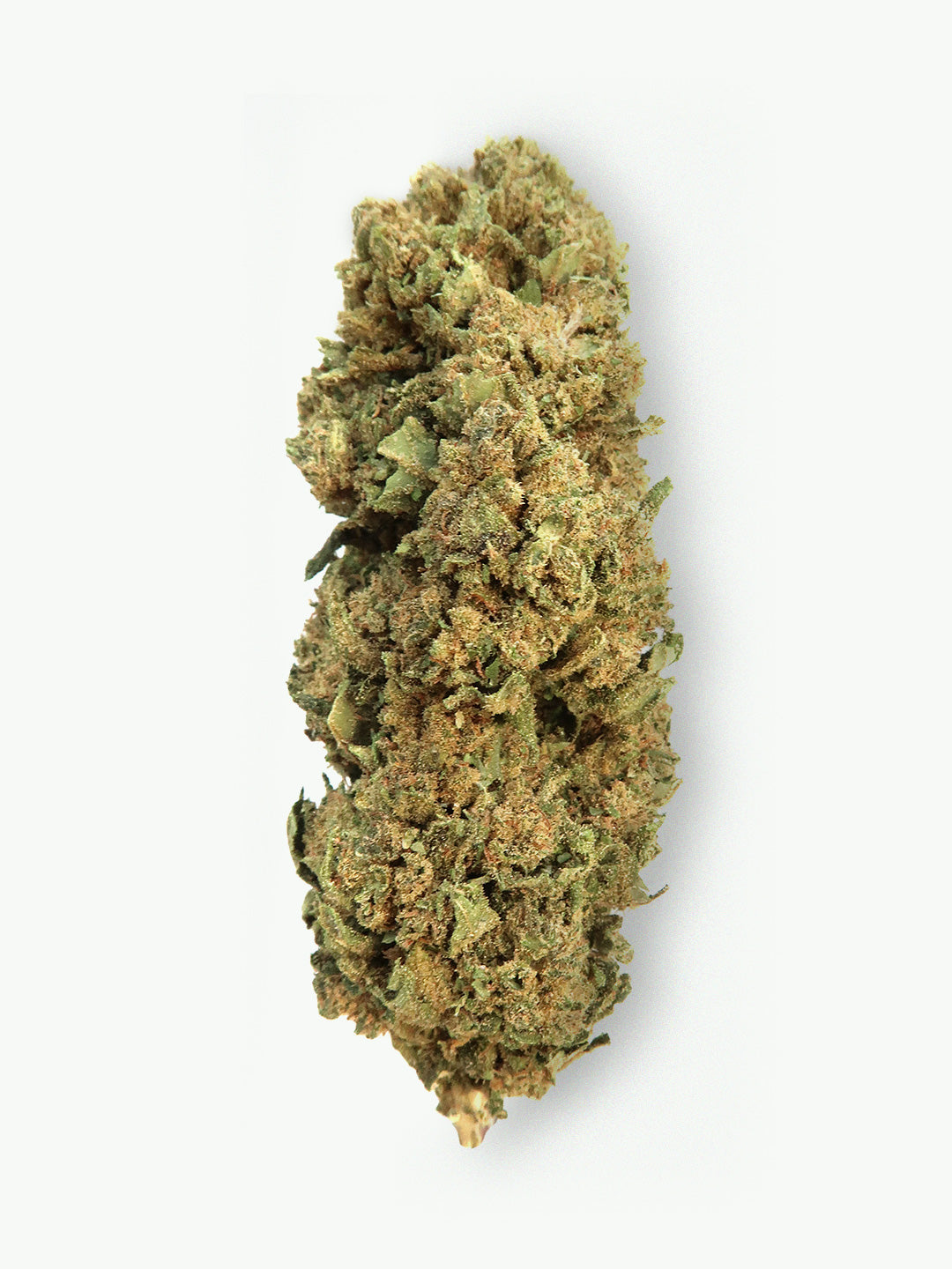 Immagine principale per il fiore di CBD Milkshake