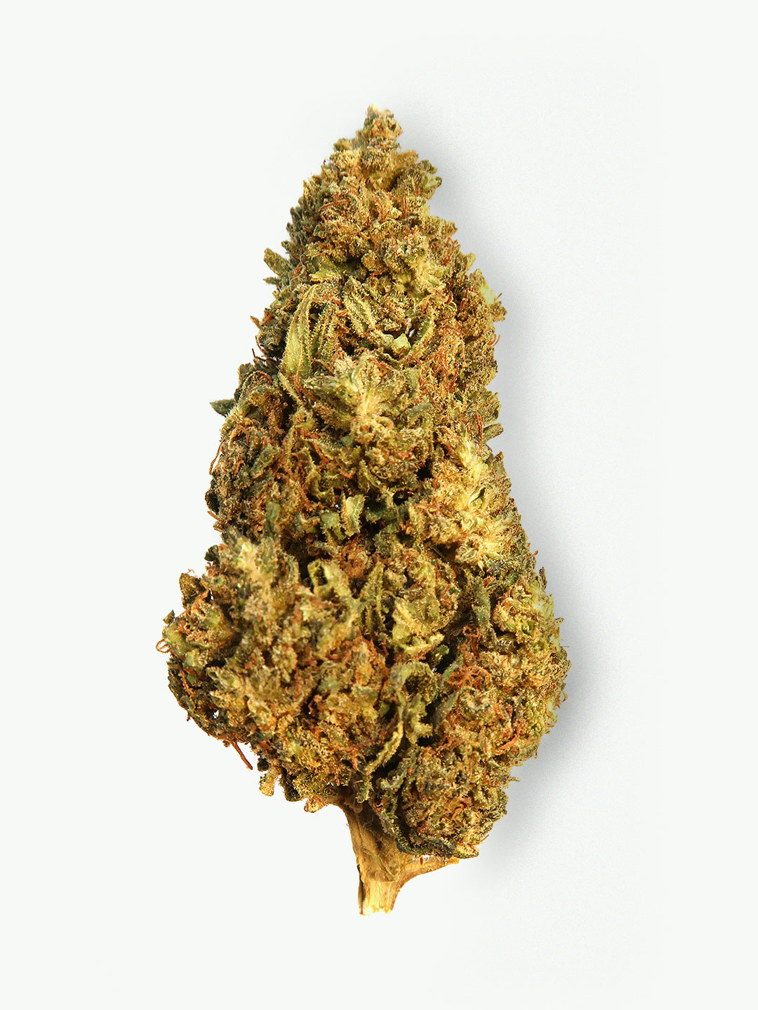 Immagine principale dei fiori di CBD Mountainberry