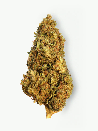 Immagine principale dei fiori di CBD Mountainberry