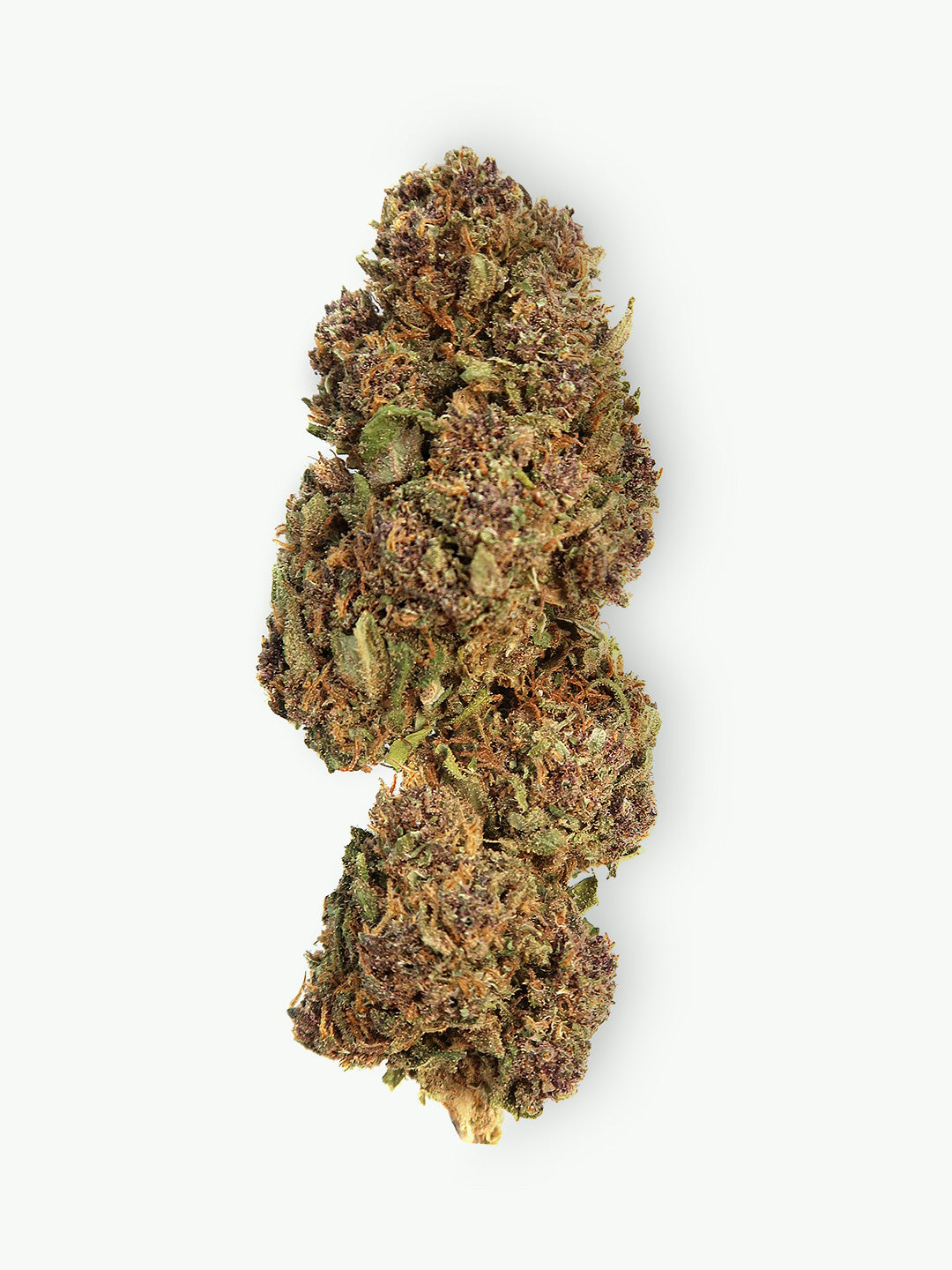 Immagine principale dei fiori di Purple Kush CBD