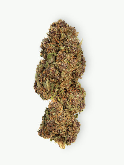 Immagine principale dei fiori di Purple Kush CBD