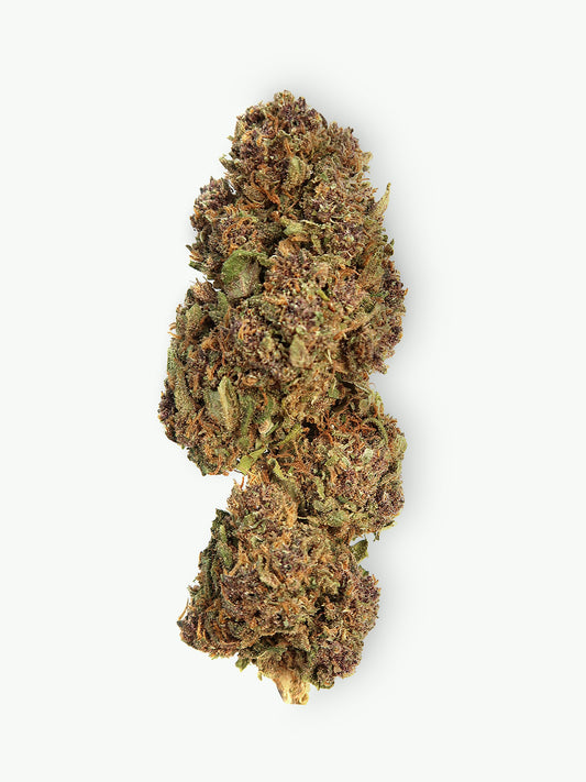 Immagine principale dei fiori di Purple Kush CBD