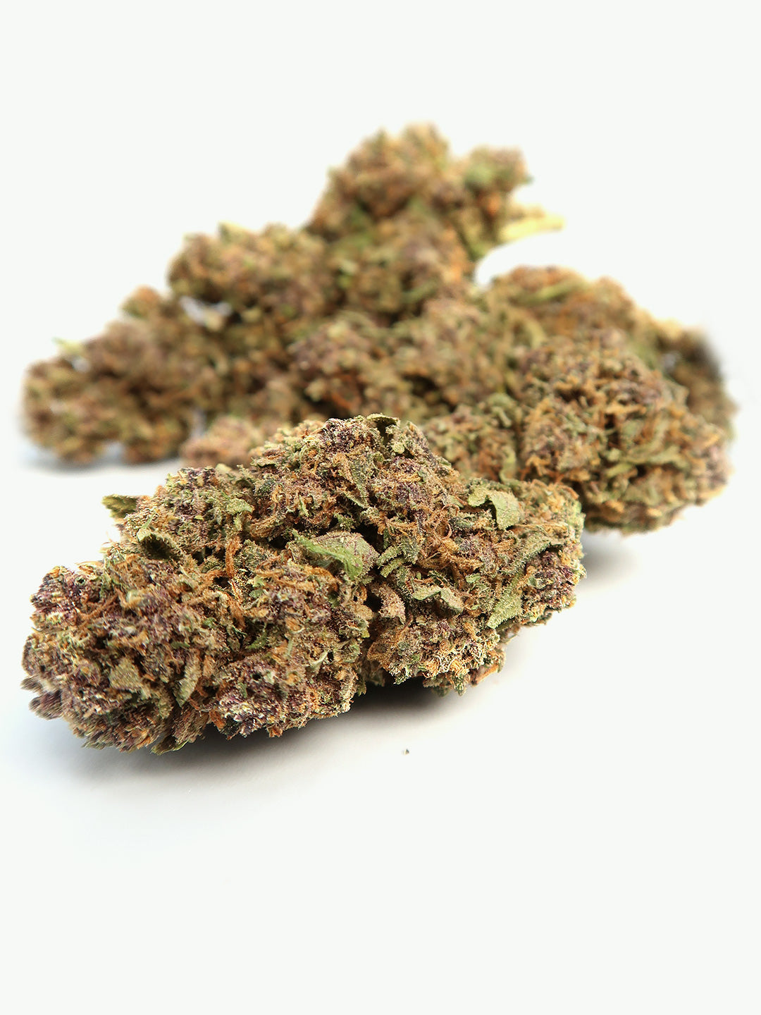 Grappolo di fiori di Purple Kush CBD