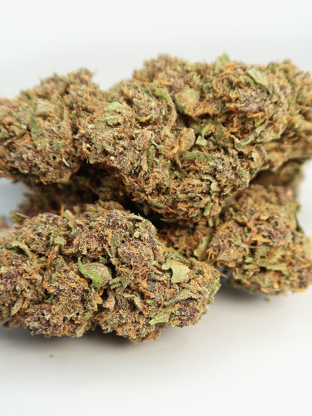 Primo piano di fiori di Purple Kush CBD