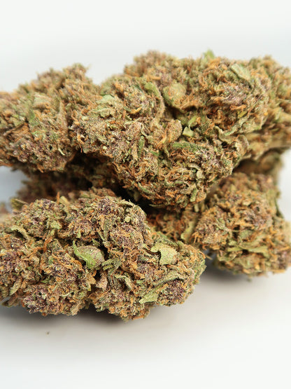 Primo piano di fiori di Purple Kush CBD