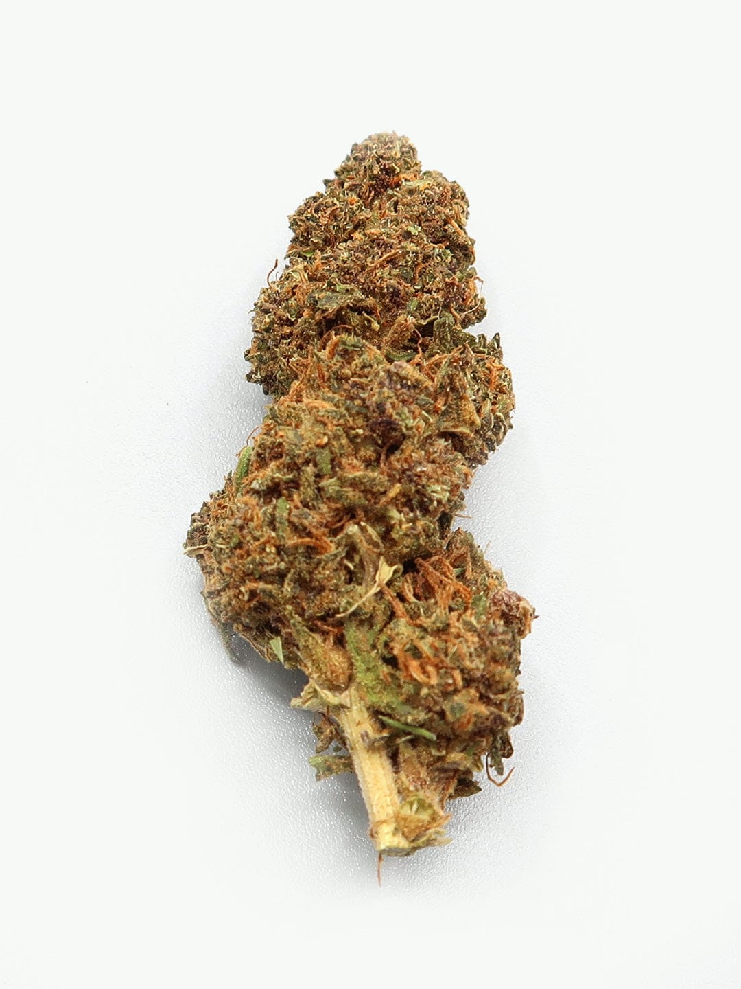 purple kush hemp flowers