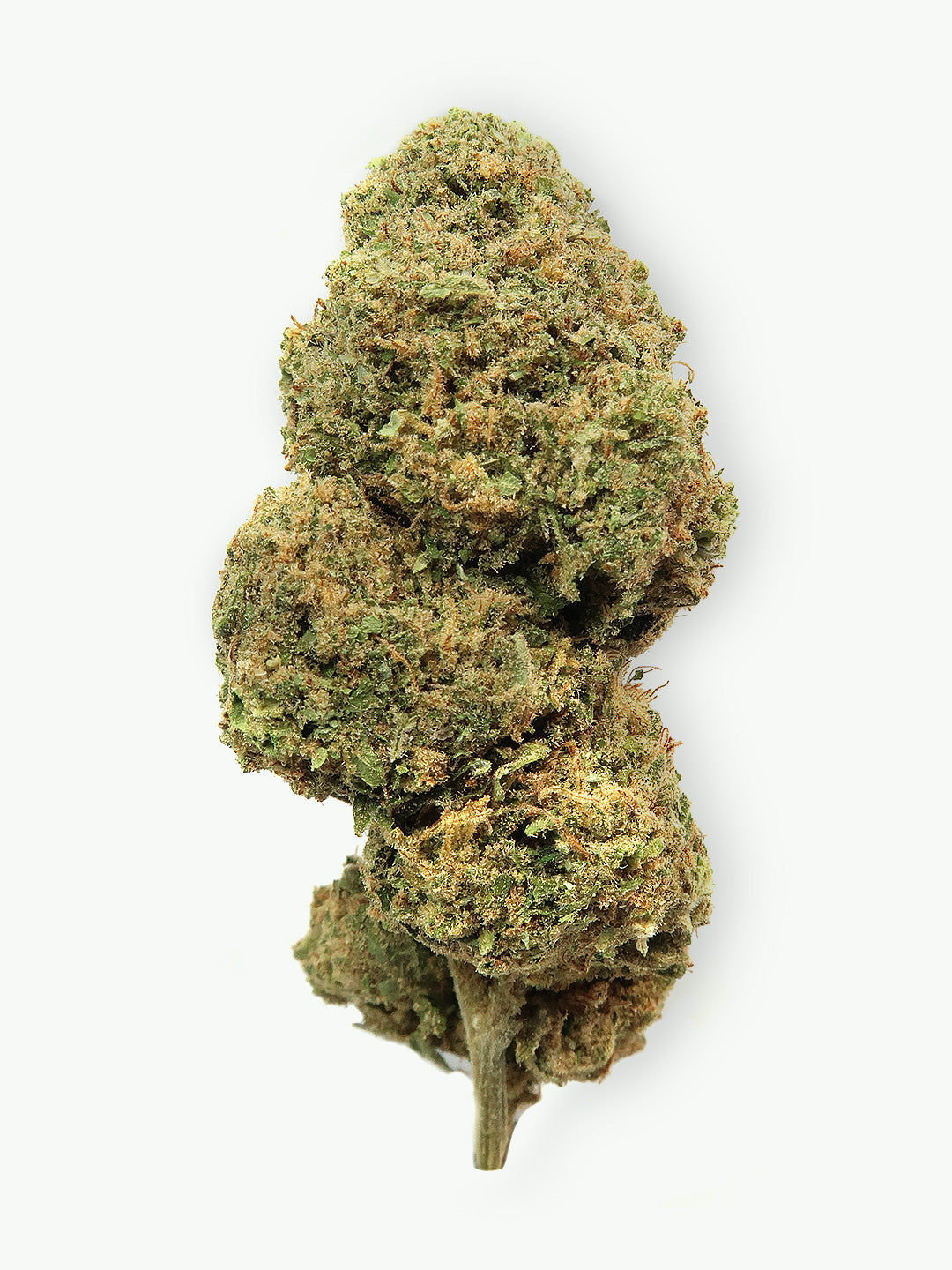 Immagine principale dei fiori di Zkittlez CBD