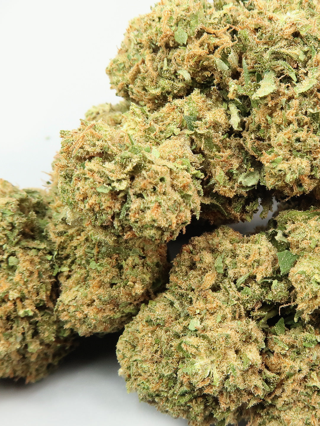 Primo piano dei fiori di Zkittlez CBD
