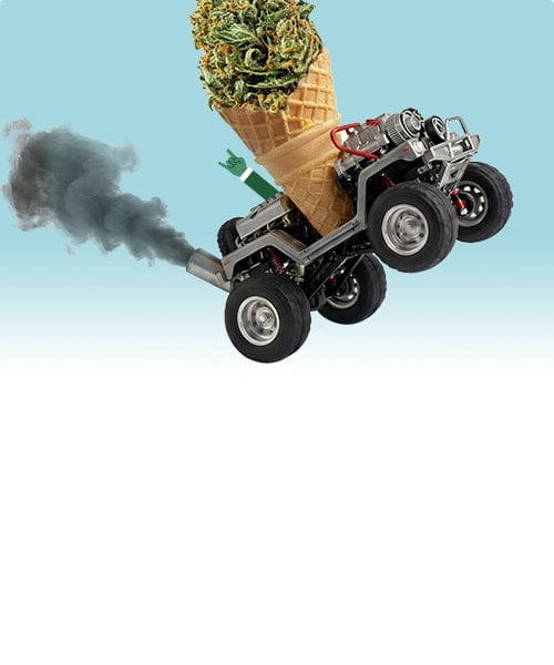 Dolce <br>o<br> gassoso?